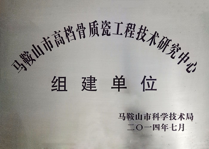 Ma'anshan high grade Bone China Engineering Technology Research